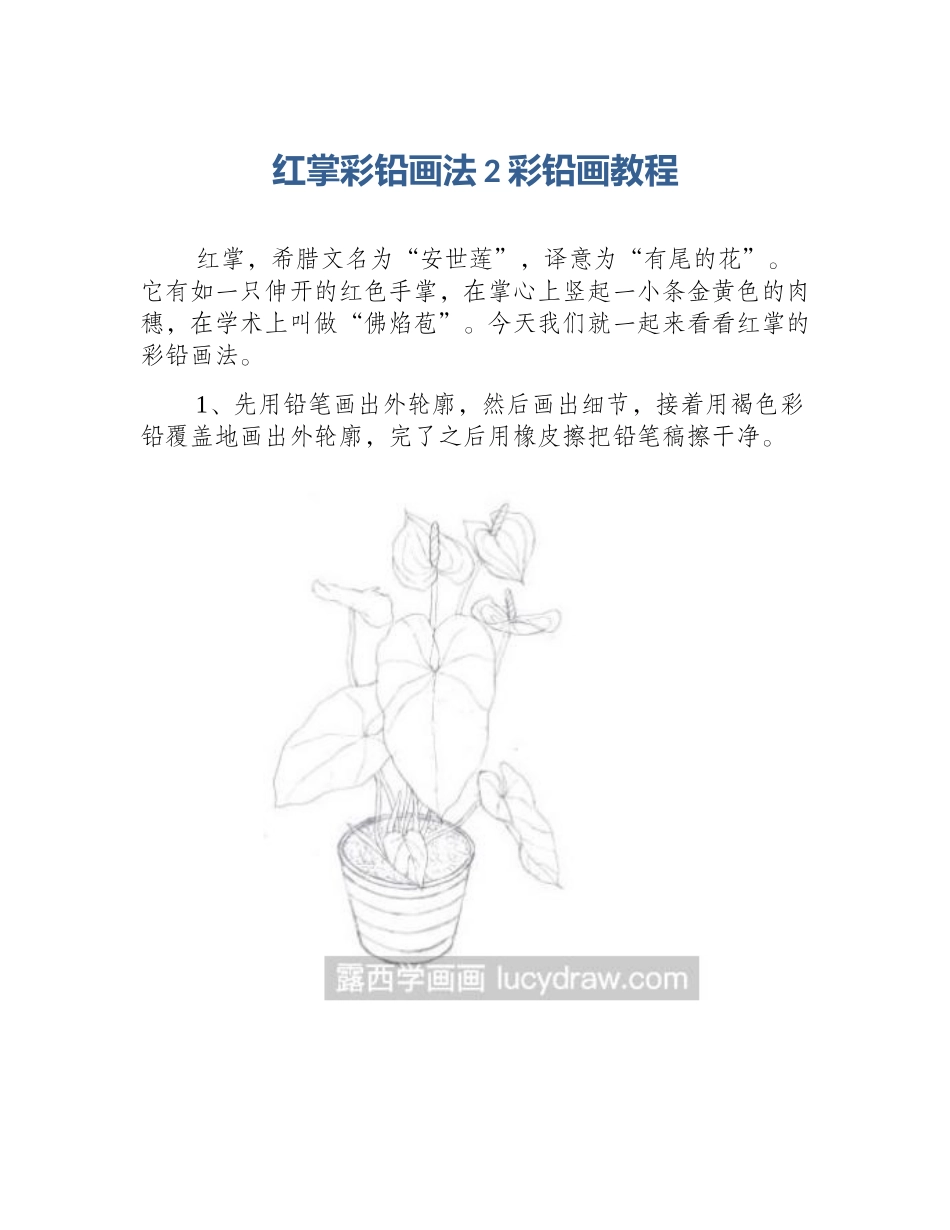 红掌彩铅画法2彩铅画教程_第1页