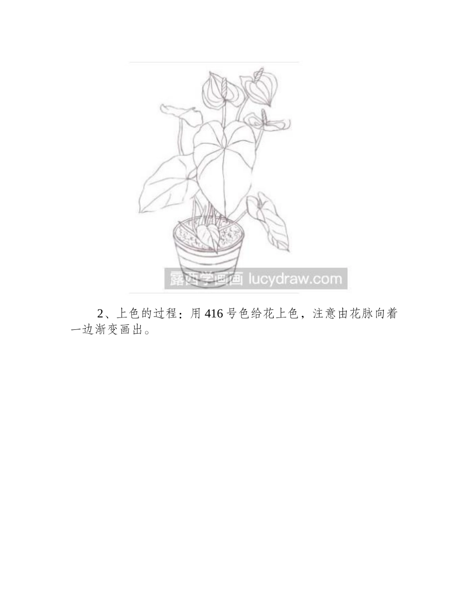红掌彩铅画法2彩铅画教程_第2页