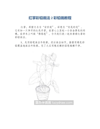 红掌彩铅画法2彩铅画教程