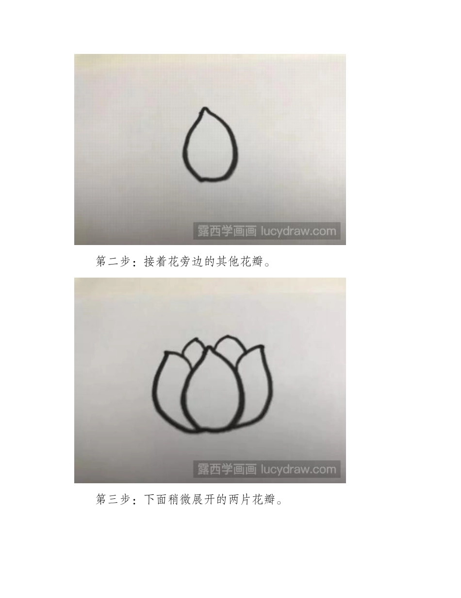 荷叶与青蛙简笔画教程简笔画教程_第2页