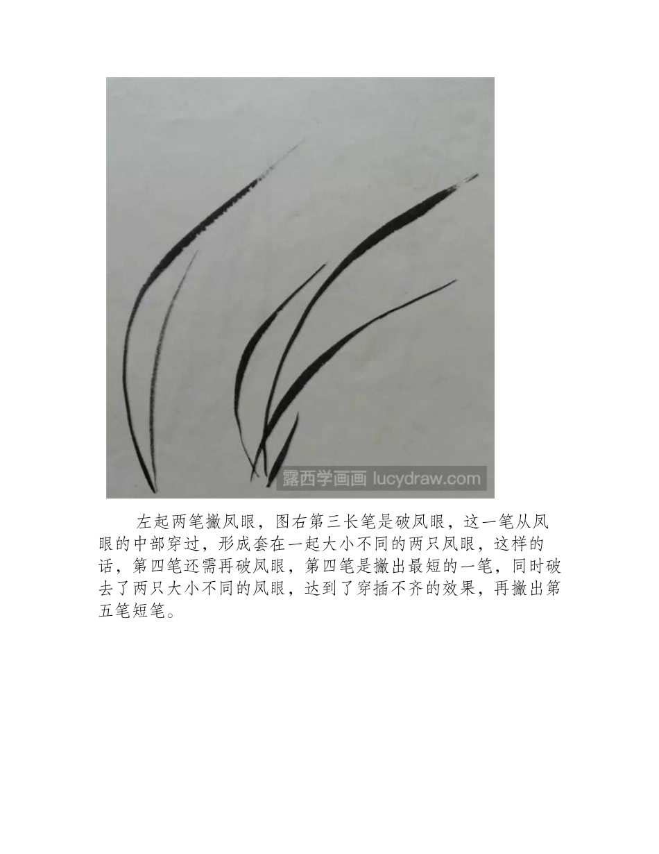 简单的国画兰花怎么画_兰花的两种国画画法详解！国画教程_第2页