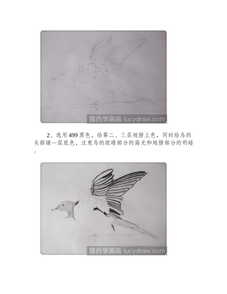 教你画一只展翅小鸟彩铅画教程_第2页