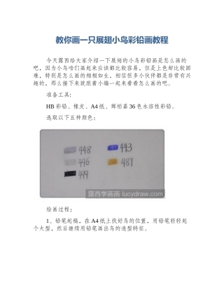 教你画一只展翅小鸟彩铅画教程