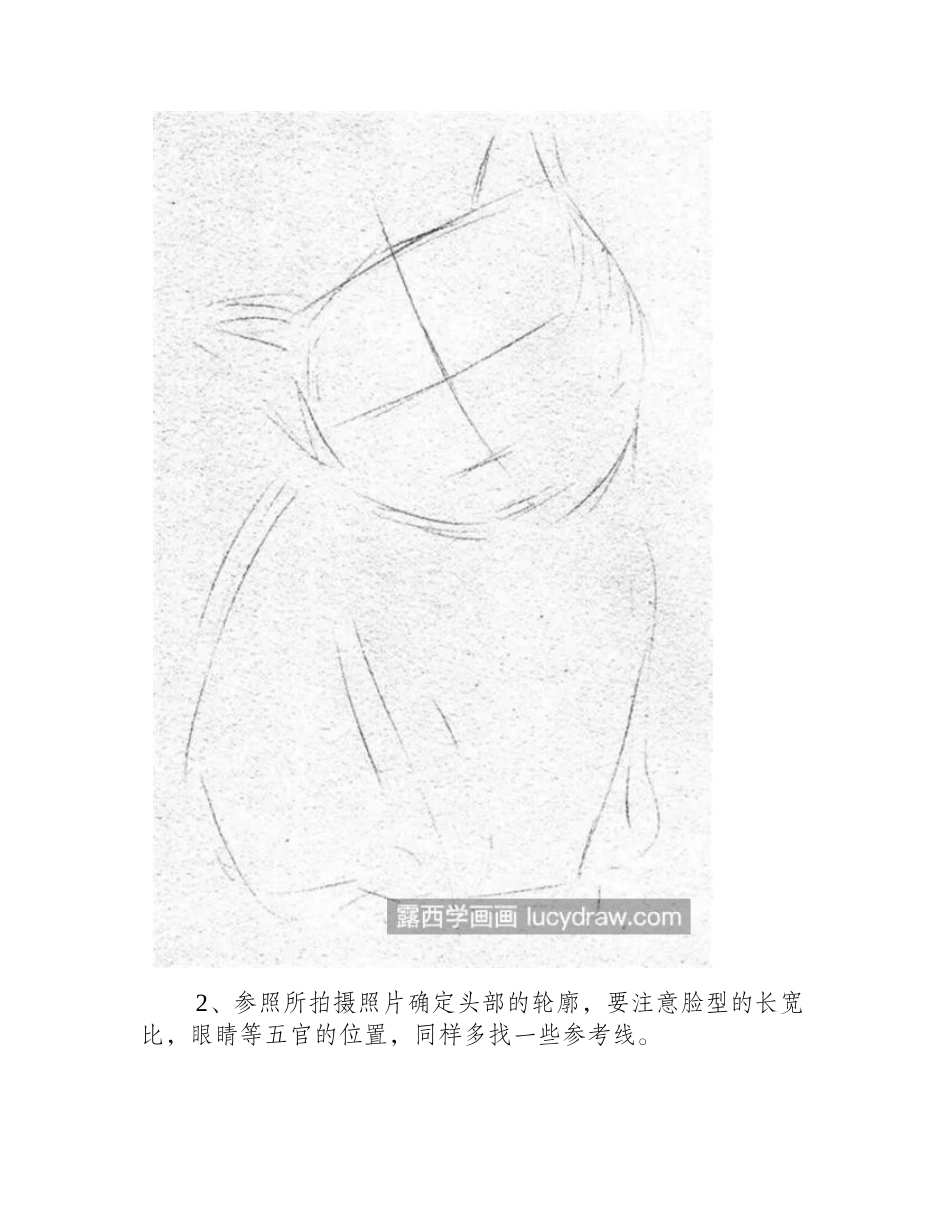 黑白猫咪怎么画_怎样画猫咪毛发_素描教程1_第2页