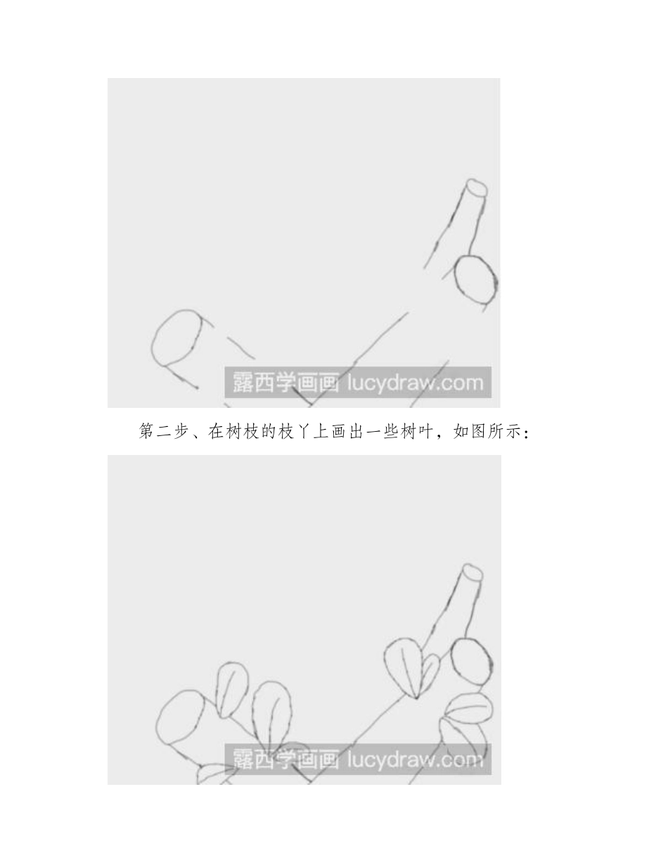 简笔画教程：教你画小鸟的家简笔画教程_第2页