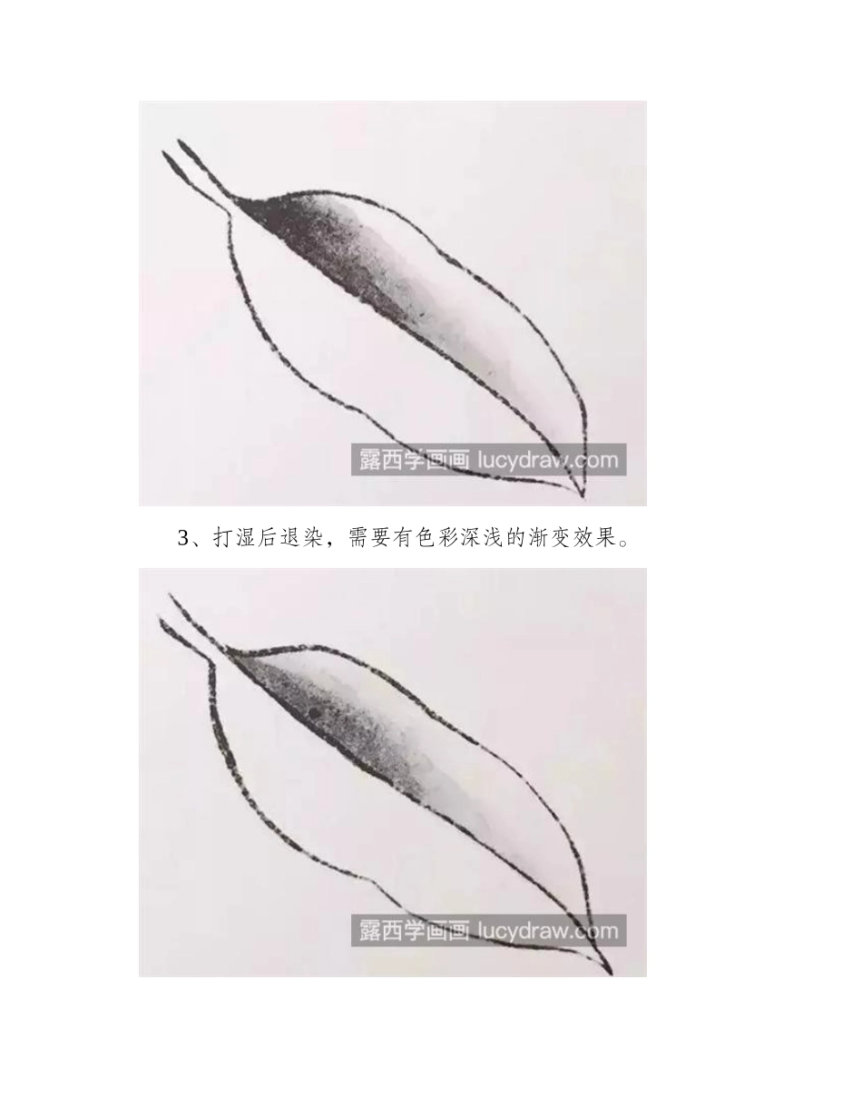 花叶怎么画_如何进行明暗处理_工笔画教程_第2页