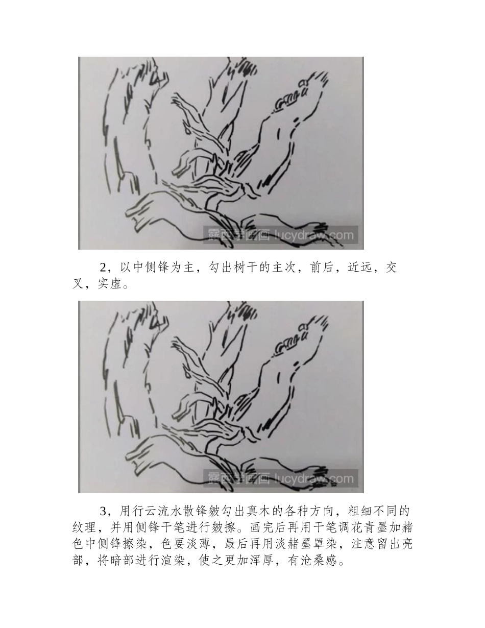 胡杨国画教程国画教程1_第2页