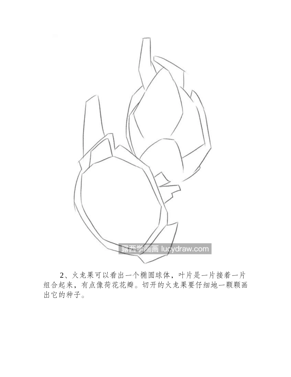 火龙果的彩铅画法是什么_详细的绘画步骤分解彩铅画教程_第2页