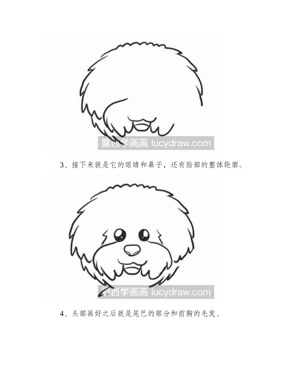 简笔画教程怎么画泰迪简笔画教程_第2页