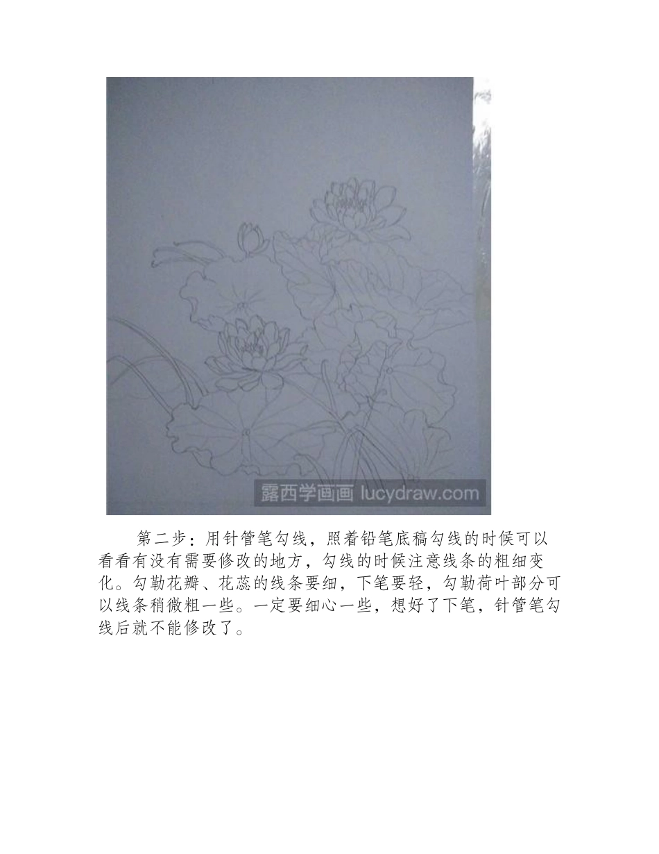 荷花水粉画教程是什么_水粉画教程_第2页