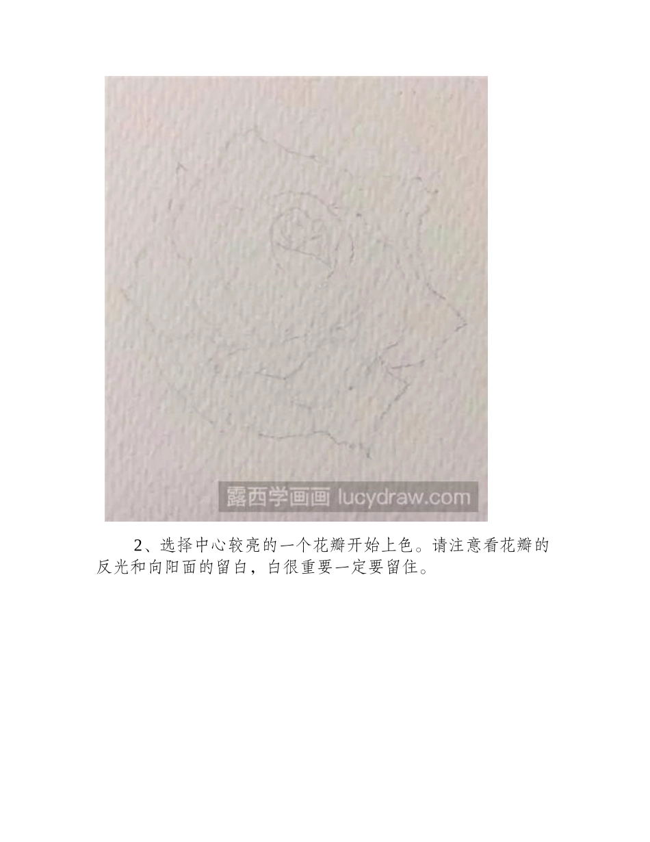 黄玫瑰水彩画教程水彩画教程_第2页