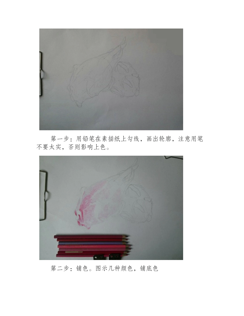 火龙果画法火龙果彩铅画教程彩铅画教程6_第2页