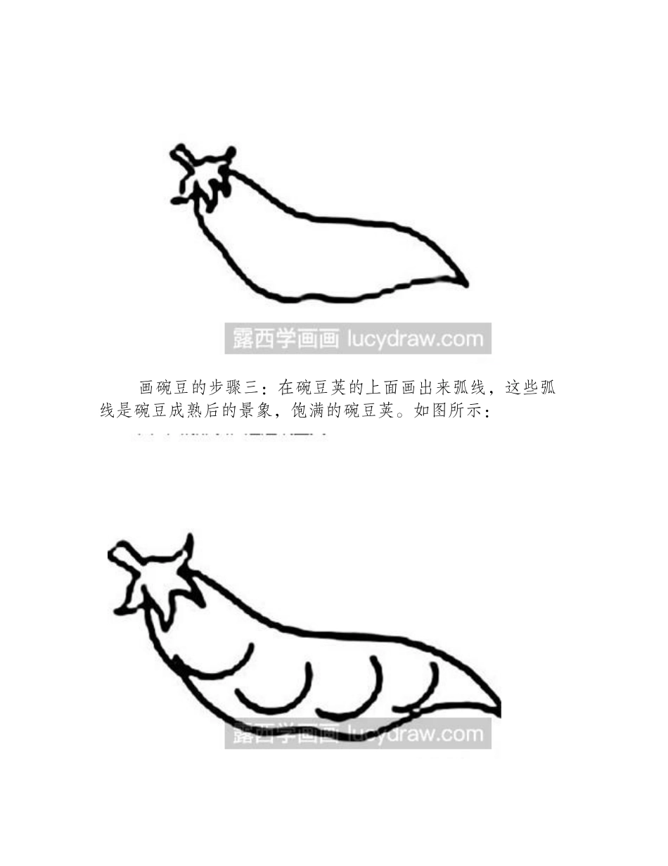 简笔画教程：豌豆的画法简笔画教程_第2页