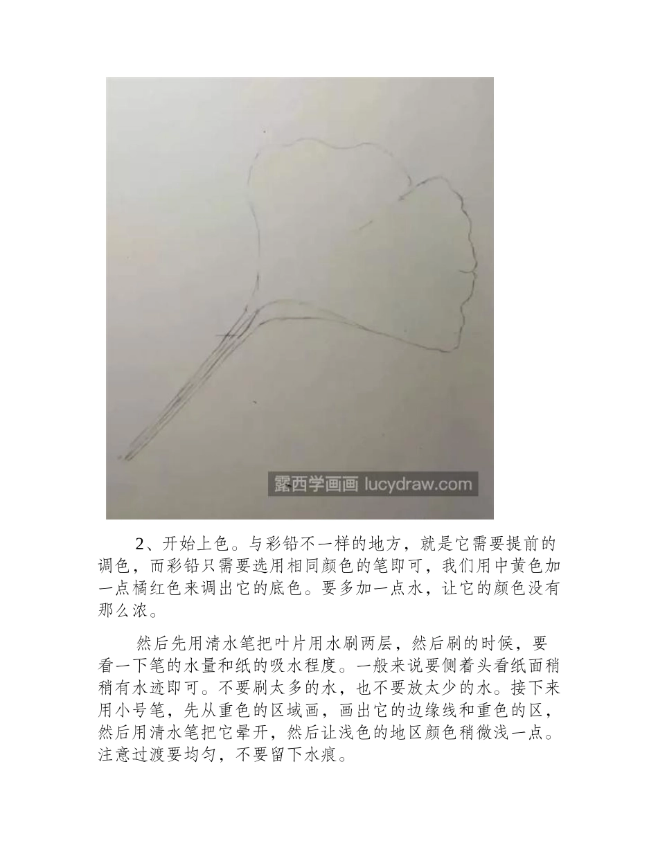 黄色银杏叶怎么画_简单的银杏叶水彩画法是什么_水彩画教程_第2页