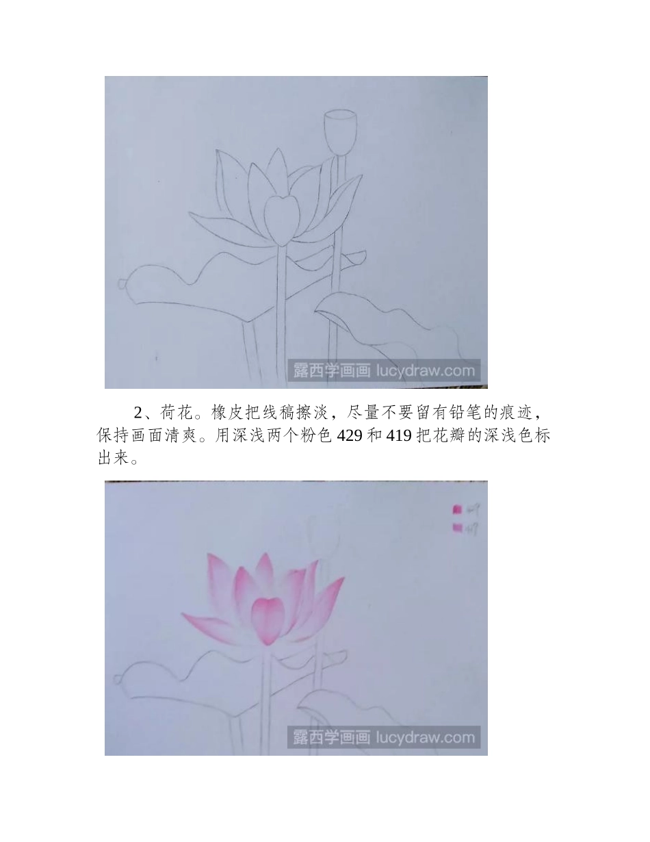 荷花的彩铅画步骤是什么_彩铅芙蕖该怎么画_彩铅画教程2_第2页