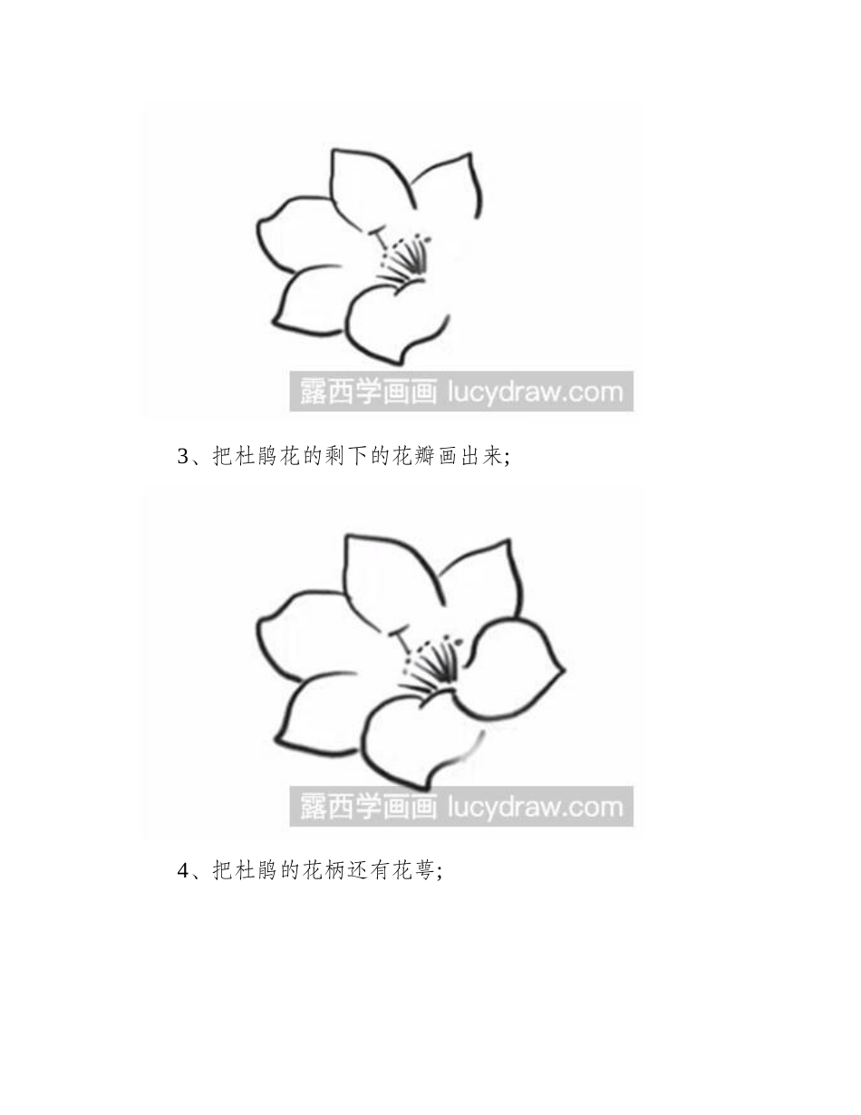 简笔画教程怎么画杜鹃花简笔画教程_第2页