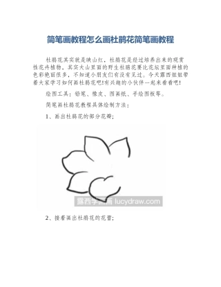 简笔画教程怎么画杜鹃花简笔画教程