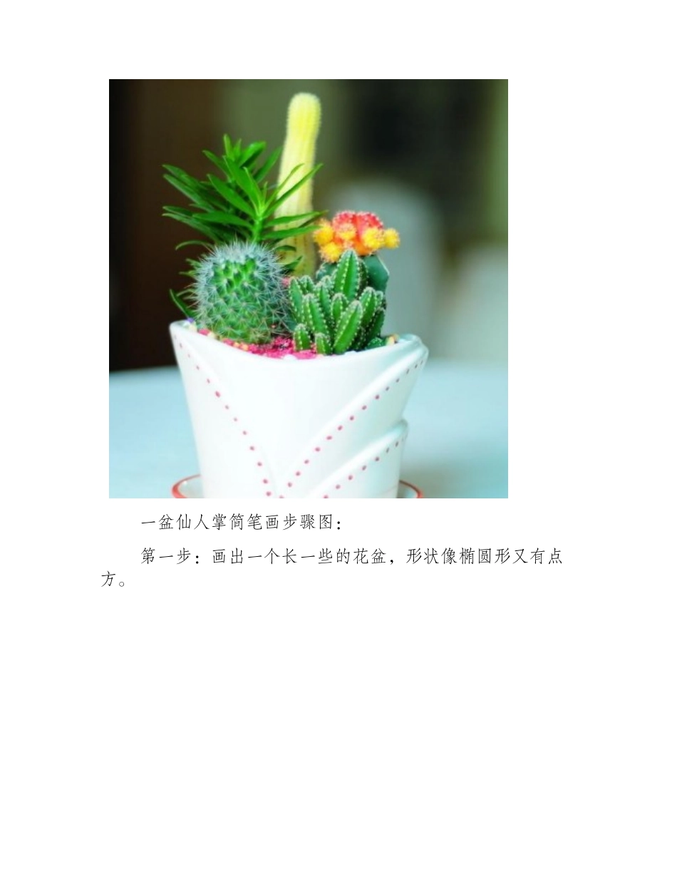 简笔画仙人掌怎么画_一盆仙人掌简笔画简笔画教程_第2页