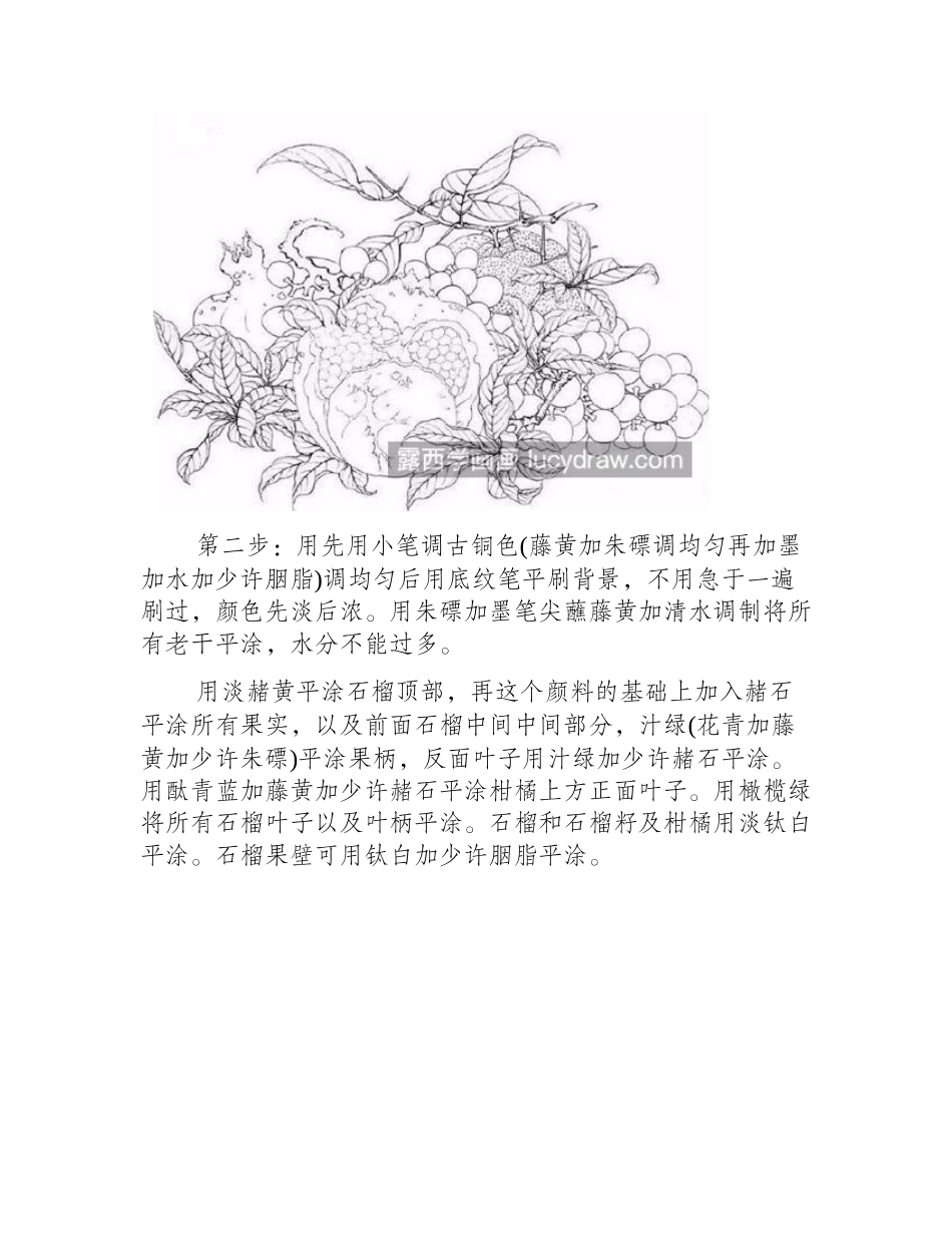 吉祥石榴怎么画_石榴的工笔画步骤有哪些_工笔画教程_第2页