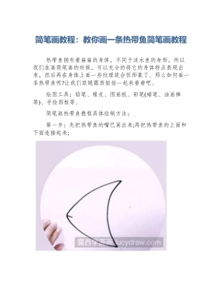 简笔画教程：教你画一条热带鱼简笔画教程