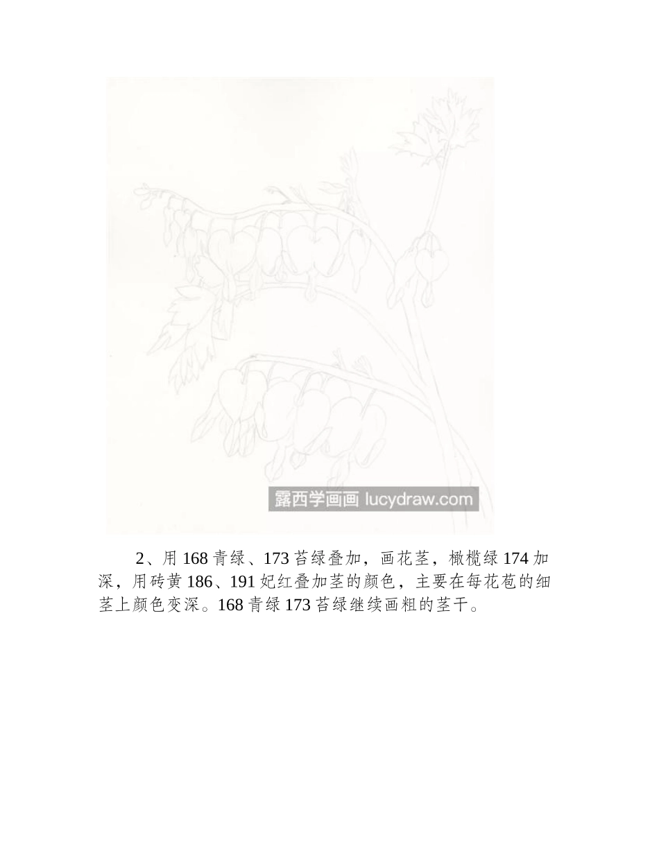 荷包牡丹怎么画_有哪些绘画步骤_彩铅画教程_第2页