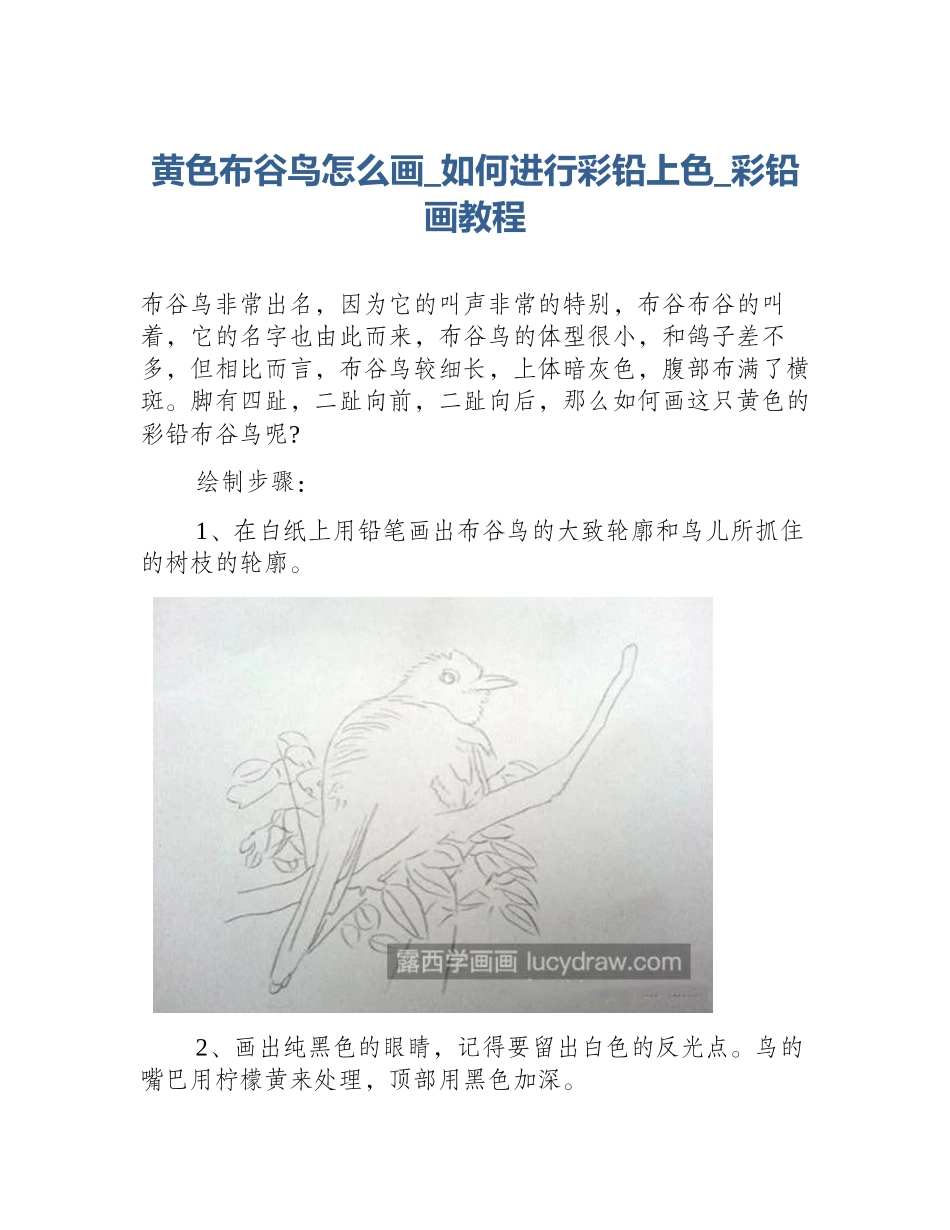 黄色布谷鸟怎么画_如何进行彩铅上色_彩铅画教程_第1页