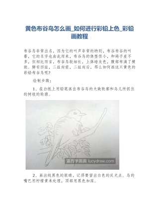 黄色布谷鸟怎么画_如何进行彩铅上色_彩铅画教程
