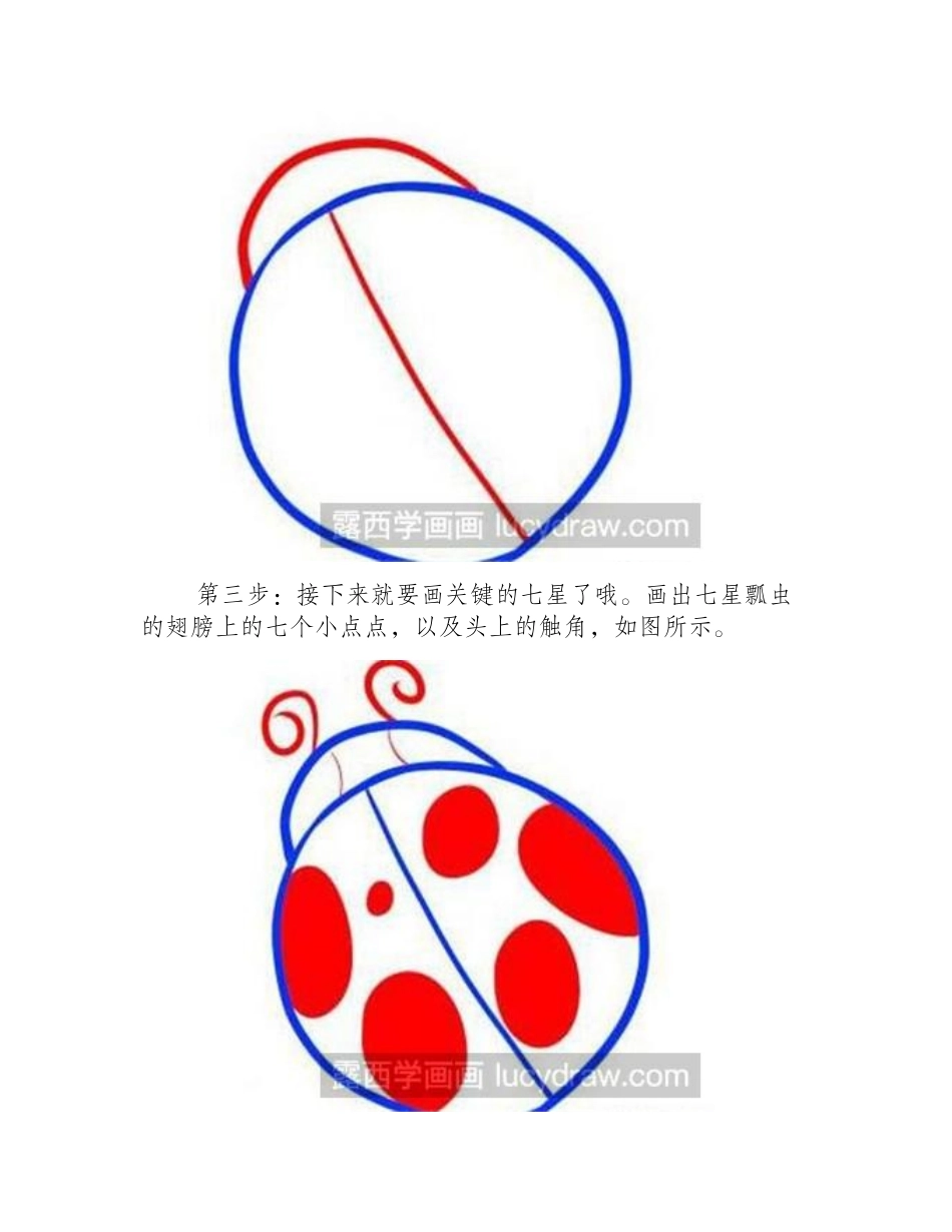 简笔画教程：七星瓢虫画法简笔画教程_第2页