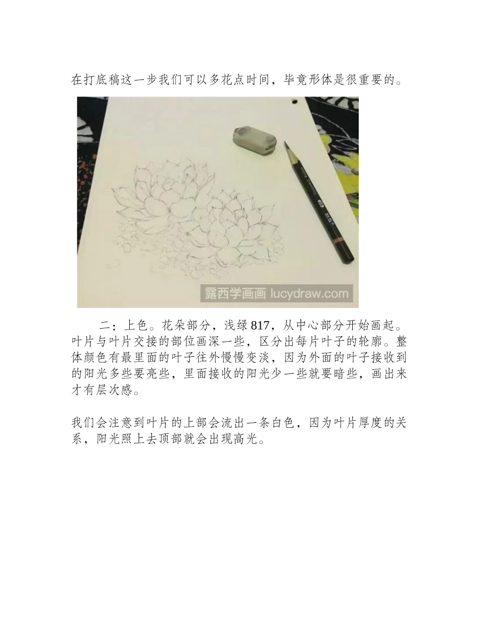 赫拉彩铅画教程彩铅画教程_第2页