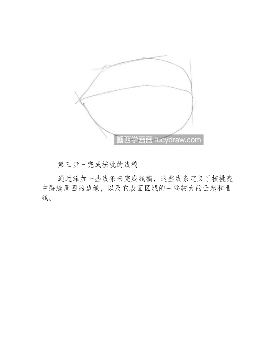 核桃怎么画_教你如何画素描核桃_素描教程_第2页