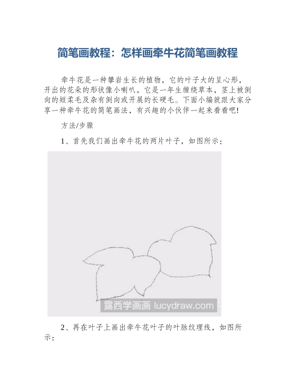 简笔画教程：怎样画牵牛花简笔画教程_第1页