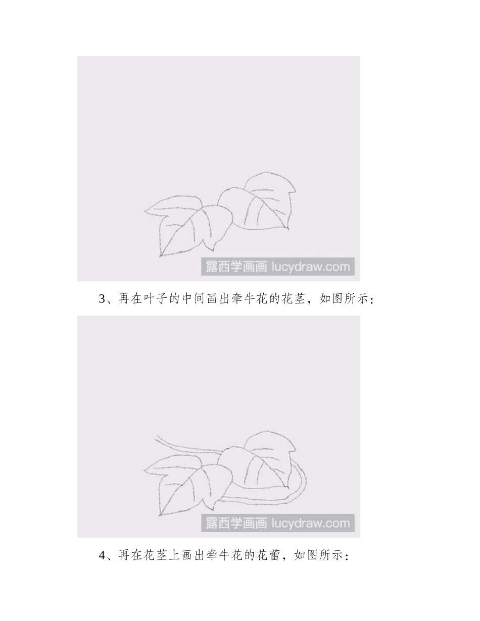 简笔画教程：怎样画牵牛花简笔画教程_第2页