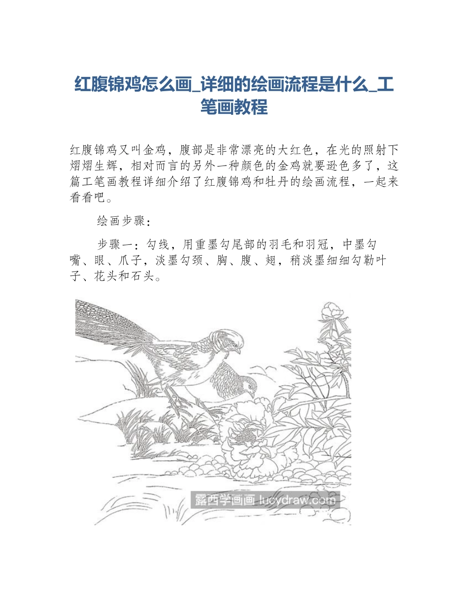 红腹锦鸡怎么画_详细的绘画流程是什么_工笔画教程_第1页