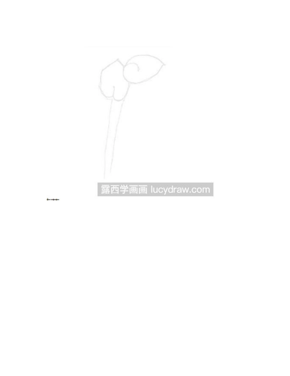 红掌彩铅画法1彩铅画教程_第2页