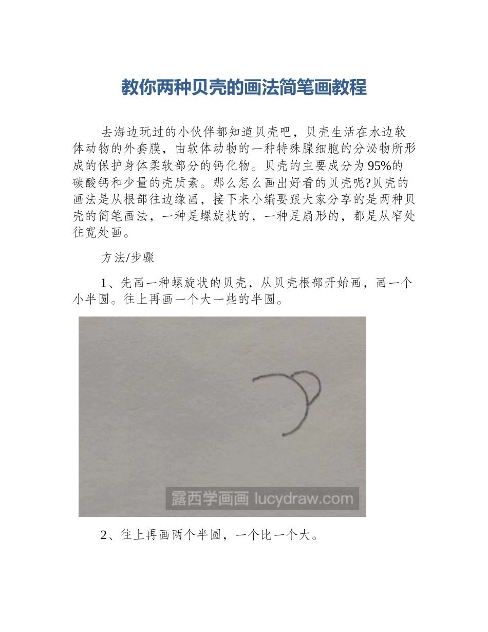 教你两种贝壳的画法简笔画教程_第1页