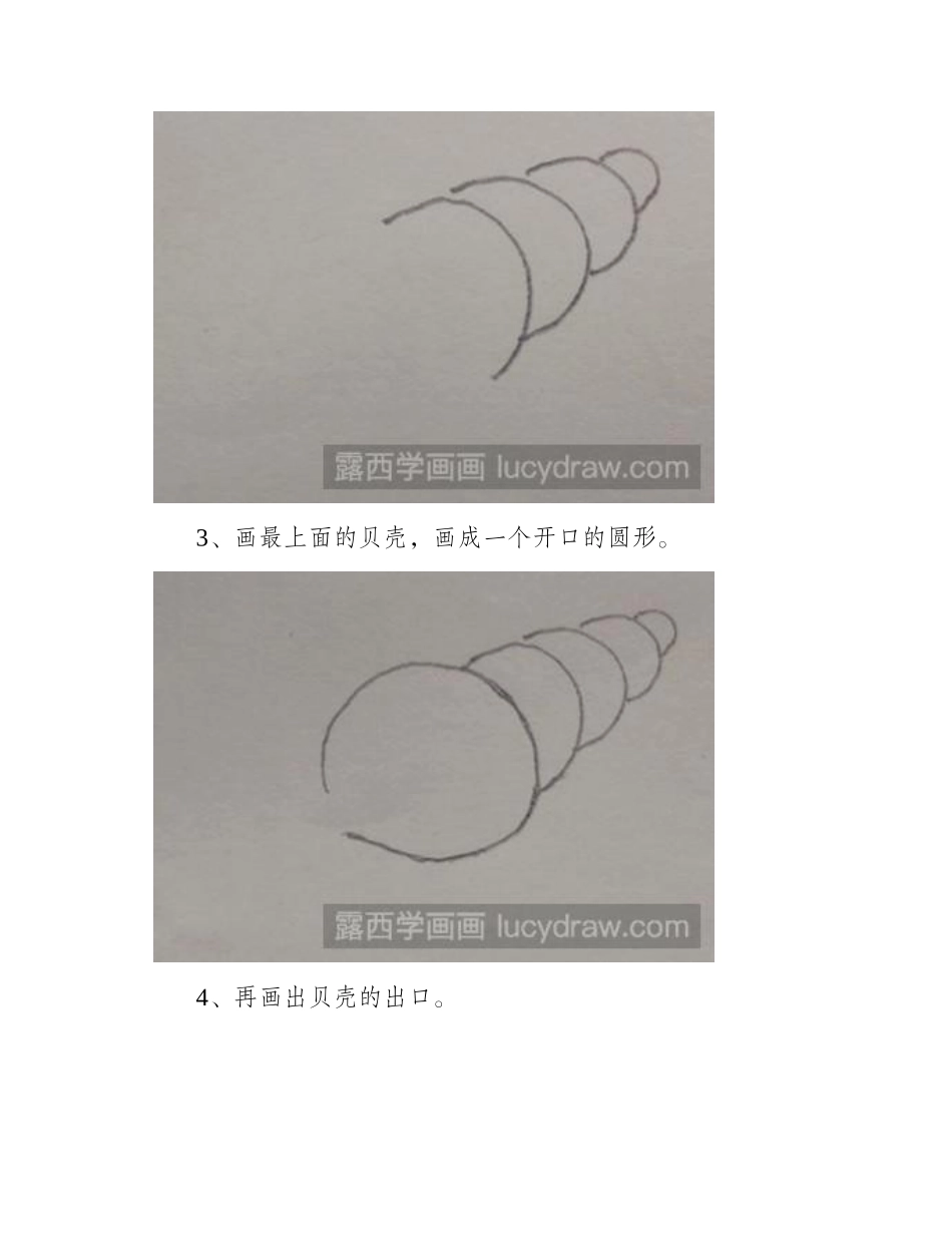 教你两种贝壳的画法简笔画教程_第2页