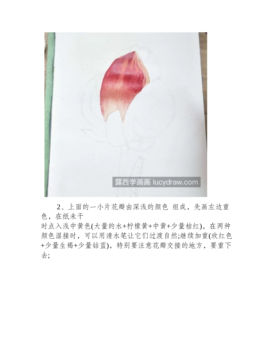 荷花花骨朵怎么画_罩色的技巧有哪些_水彩画教程_第2页