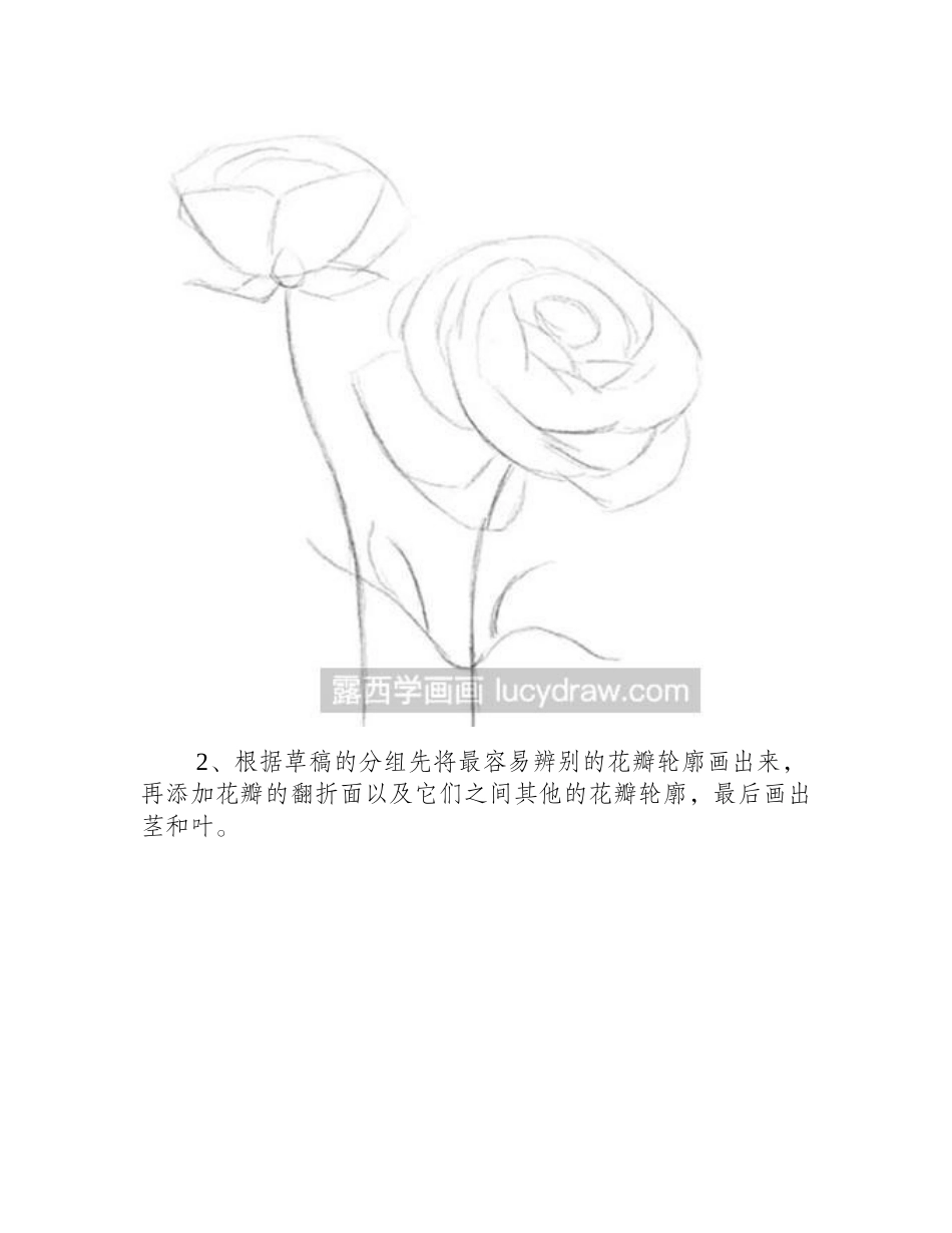 简笔画教程：教你画花毛茛简笔画教程_第2页
