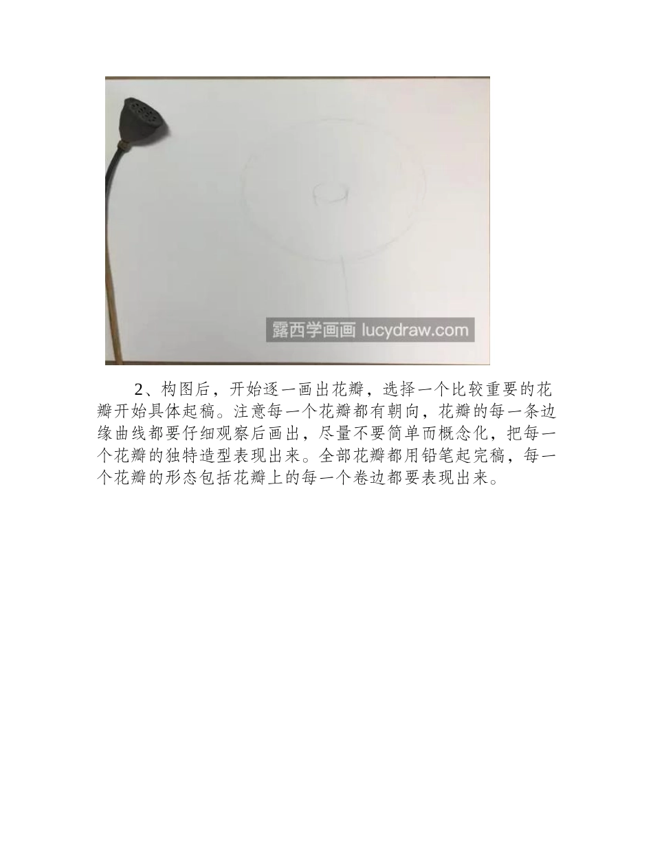 好看的荷花怎么画_教你画水彩荷花水彩画教程_第2页