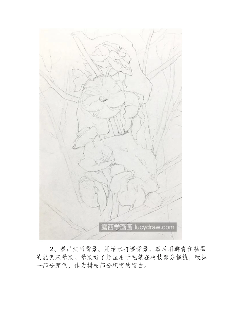 红梅的画法是什么_寒梅傲雪怎么画_水彩画教程_第2页