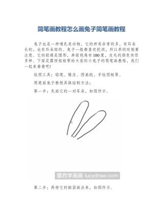 简笔画教程怎么画兔子简笔画教程