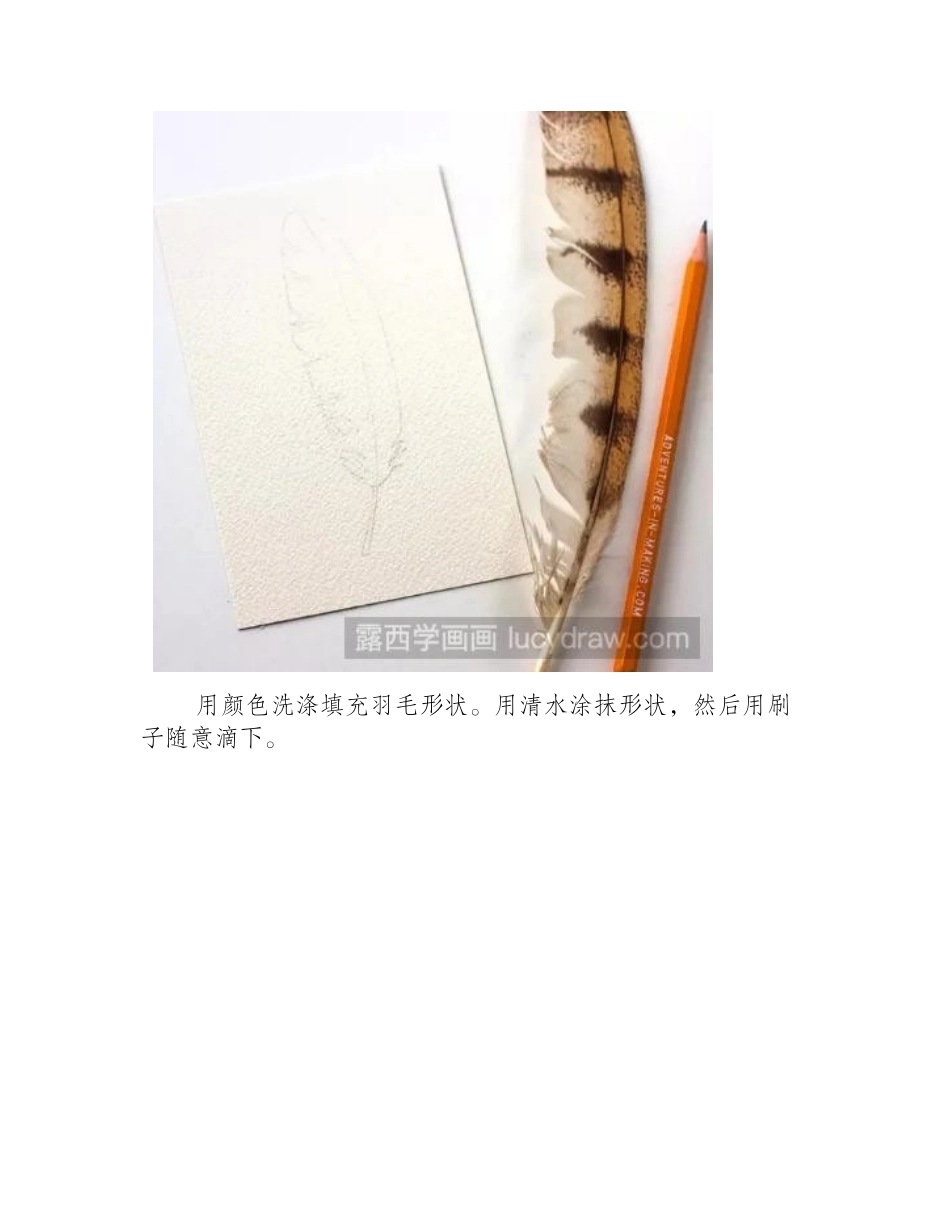 教你用水彩画一根漂亮的羽毛水彩画教程_第2页