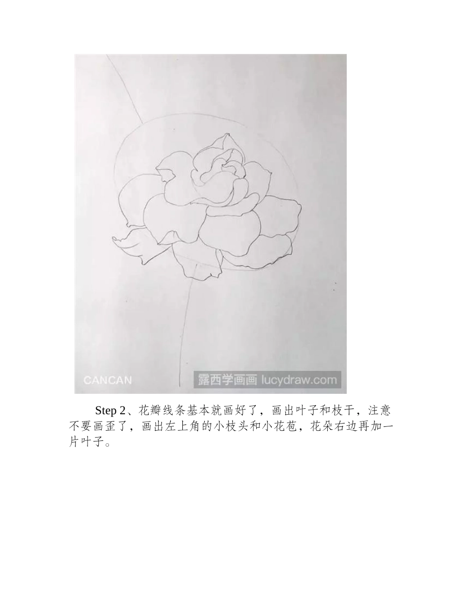 画栀子花的步骤彩铅画教程2_第2页