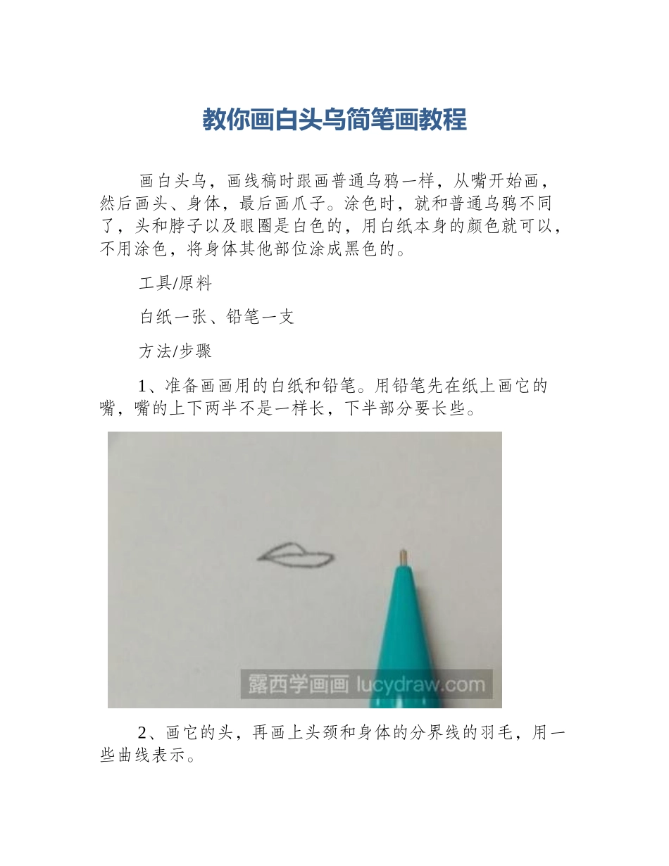 教你画白头乌简笔画教程_第1页