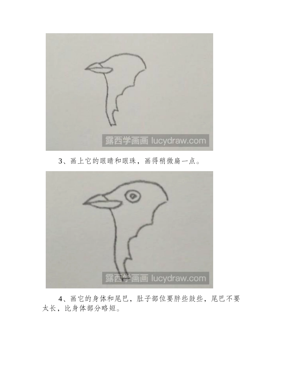 教你画白头乌简笔画教程_第2页