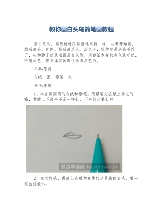 教你画白头乌简笔画教程