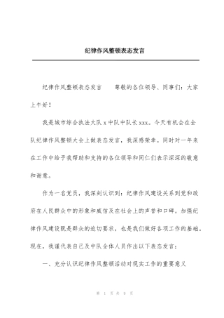 纪律作风整顿表态发言