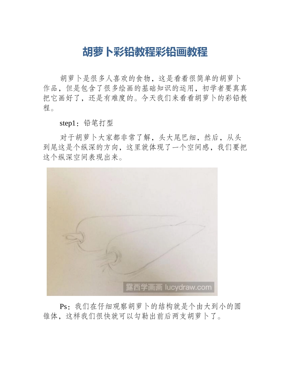 胡萝卜彩铅教程彩铅画教程_第1页