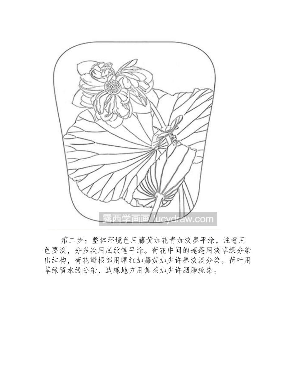 画亭亭玉立的荷花扇面画国画教程_第2页