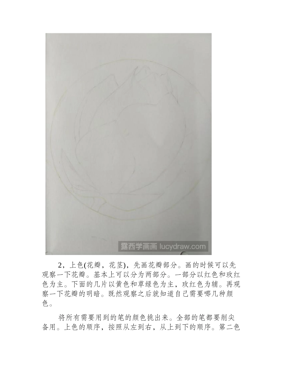 荷花苞彩铅画教程彩铅画教程_第2页